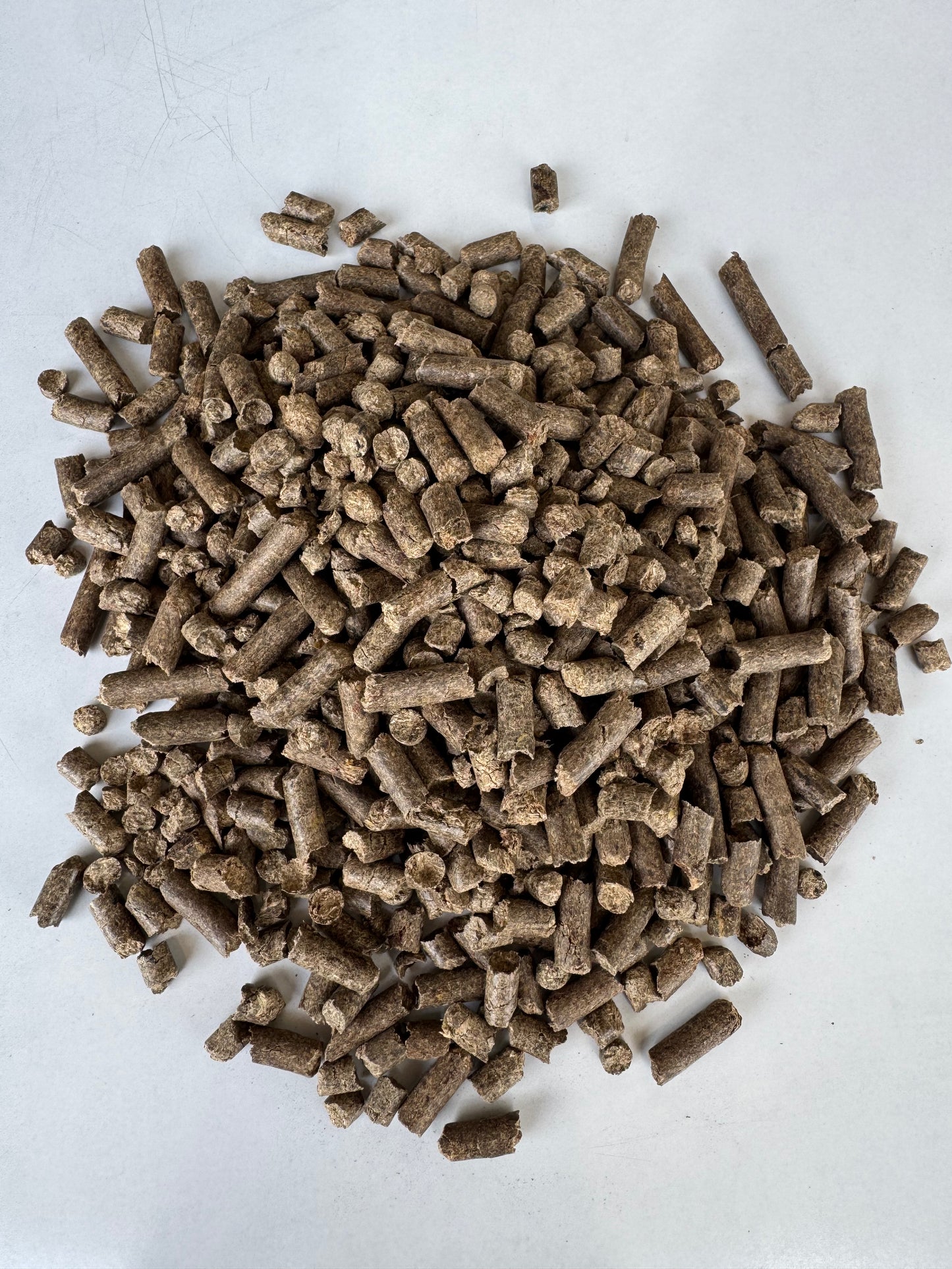 Mush Pellets 2 KG - Premium mushroom grow medium for Wood loving species