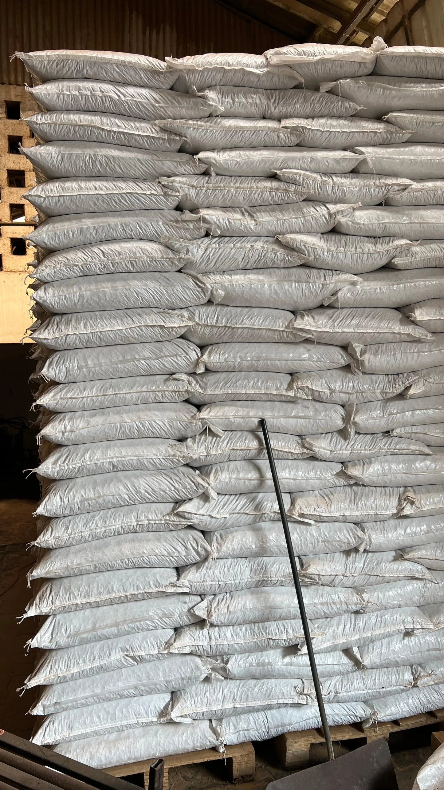 MushPellets™ Improved - Premium mushroom grow medium for Wood loving species (Copy) (Copy) - growthefunguy