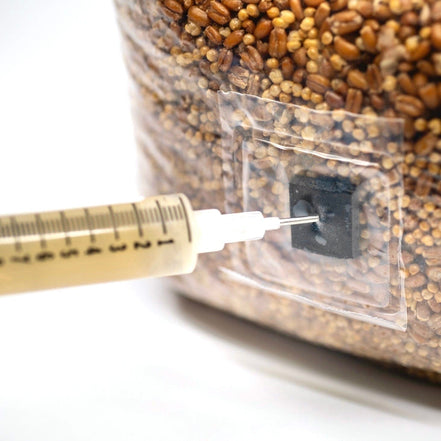 Sterilized grain bag 1KG 100% with autoclave injection port