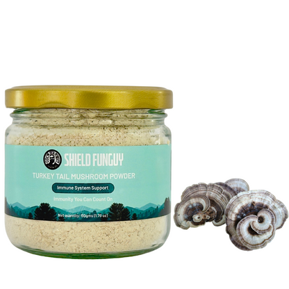 Organic Turkey Tail Powder | Premium Quality, Immunity Superfood | Grown in India