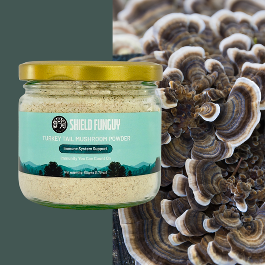 Organic Turkey Tail Water Extract Powder | Premium Quality, Immunity Superfood | Grown in India