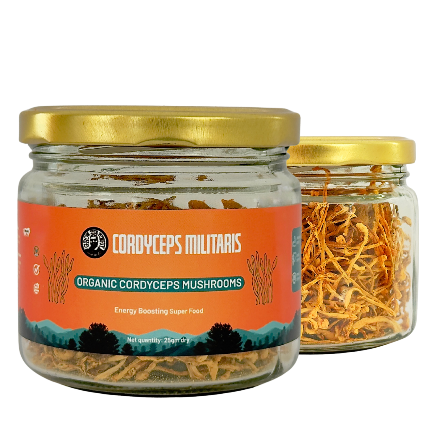 Organic Cordyceps Mushrooms Militaris - 25gm dry - Energy Boosting Super Food