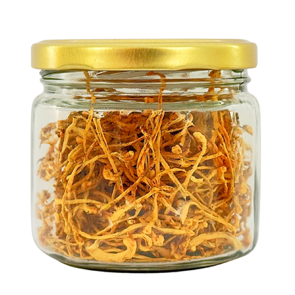 Organic Cordyceps Mushrooms Militaris - 25gm dry - Energy Boosting Super Food