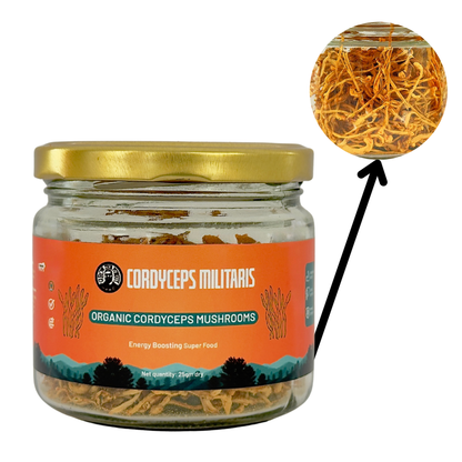 Organic Cordyceps Mushrooms Militaris - 25gm dry - Energy Boosting Super Food