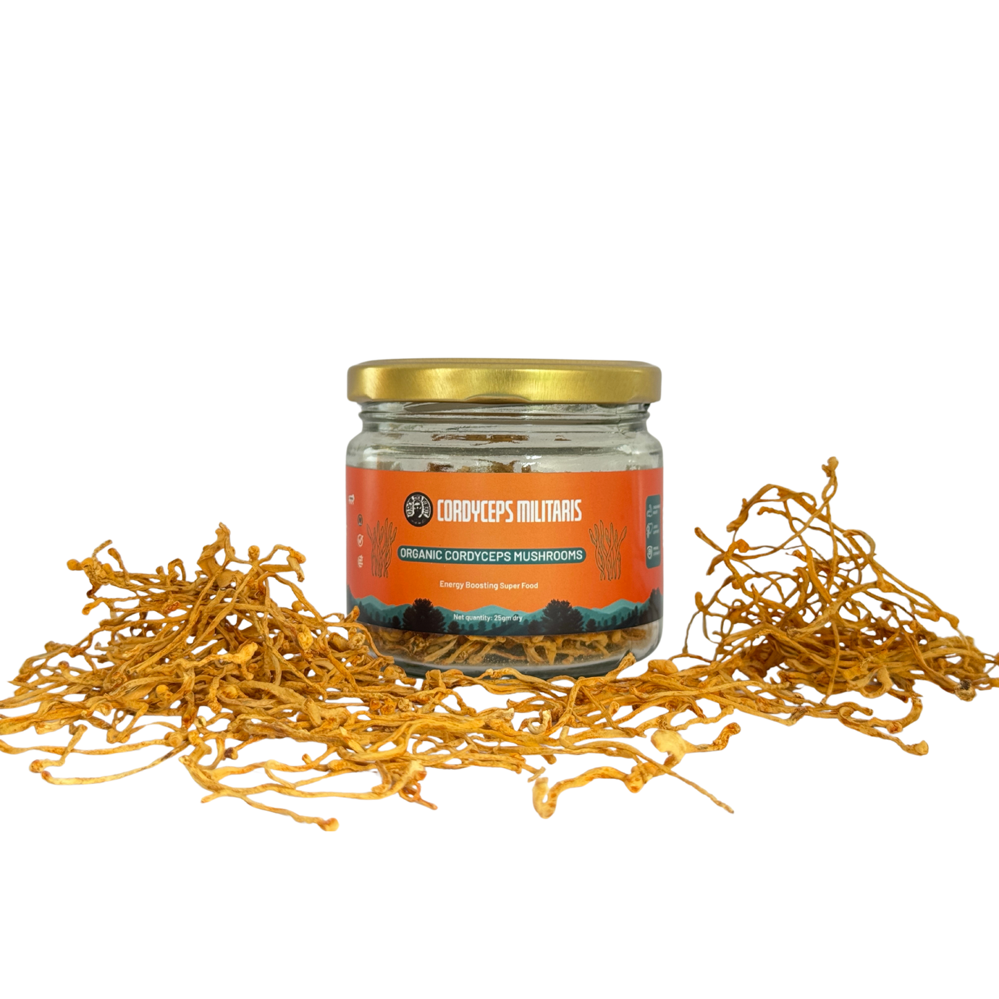 Organic Cordyceps Mushrooms Militaris - 25gm dry - Energy Boosting Super Food