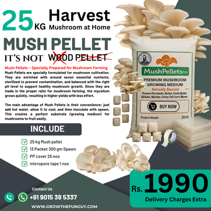 25 block Oyster  Mushroom growing combo - Make 25 bags of 2.5KG each  for Starters