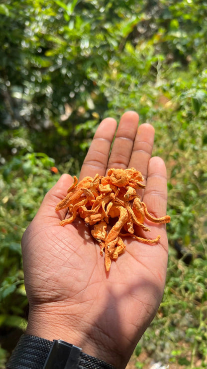 Organic Cordyceps Mushrooms - 25gm dry - Energy boosting super food - growthefunguy