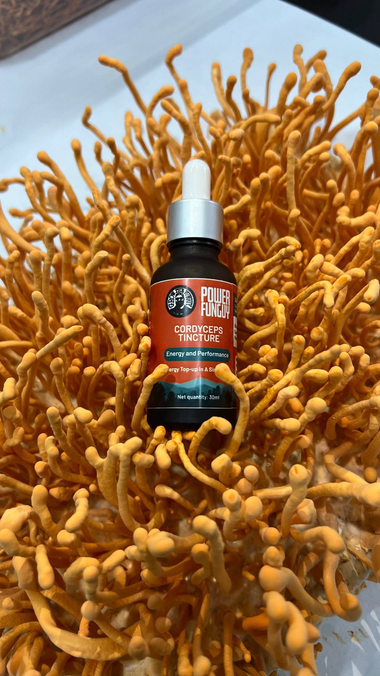 POWERFUNGUY - Dual extract Cordyceps tincture - 30ml - growthefunguy