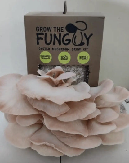 Organic Oyster Mushroom Growkit - growthefunguy