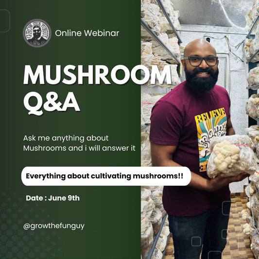 MUSHROOM BUSINESS - Q & A - Ask Everything About Cultivating Mushroom