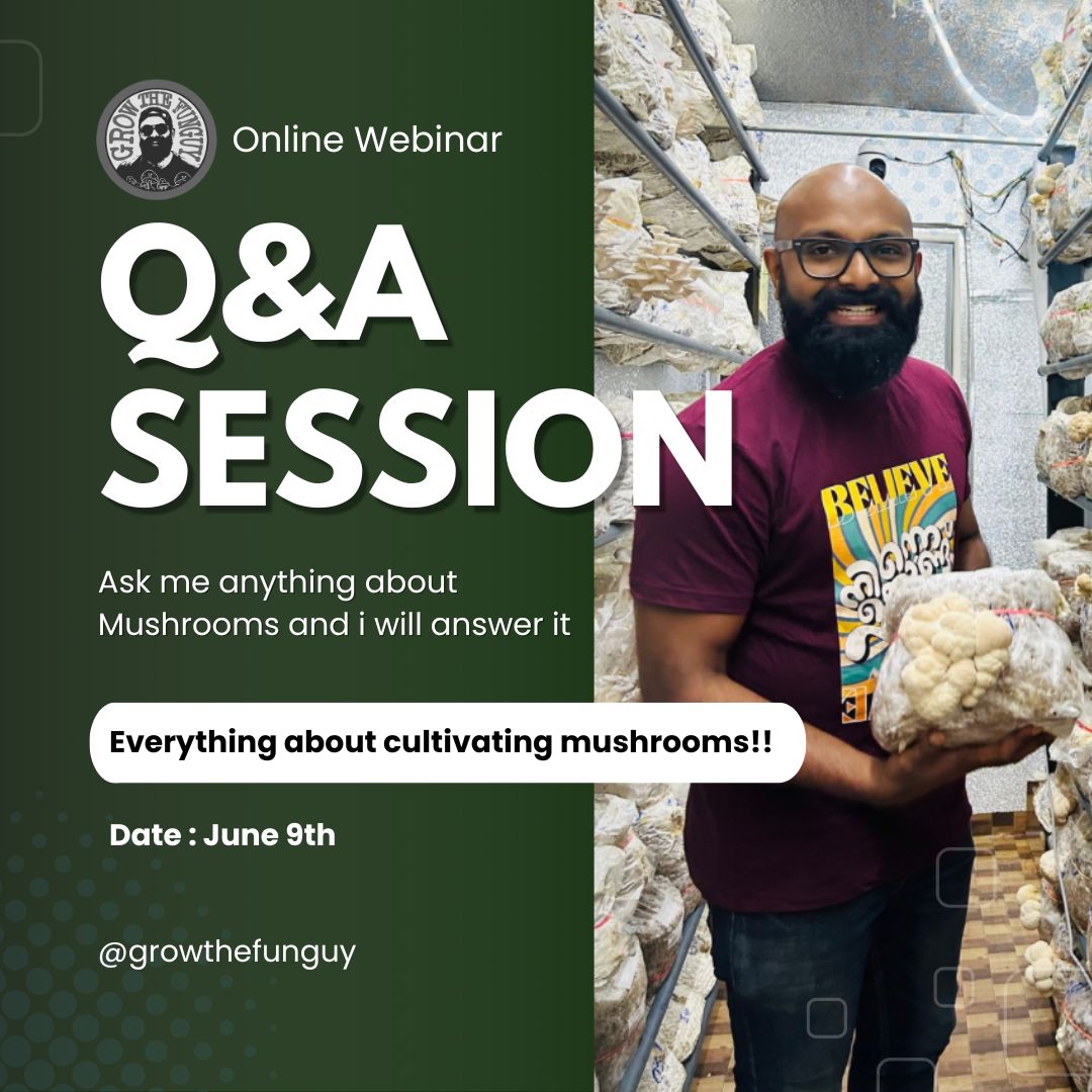 MUSHROOM BUSINESS - Q & A - Ask Everything About Cultivating Mushroom