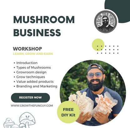 MUSHROOM BUSINESS - Q & A - Ask Everything About Cultivating Mushroom