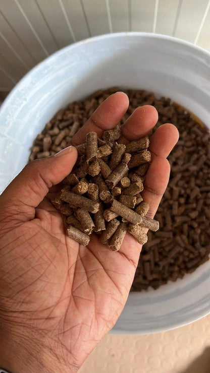 MushPellets™ Improved - Premium mushroom grow medium for Wood loving species (Copy) - growthefunguy