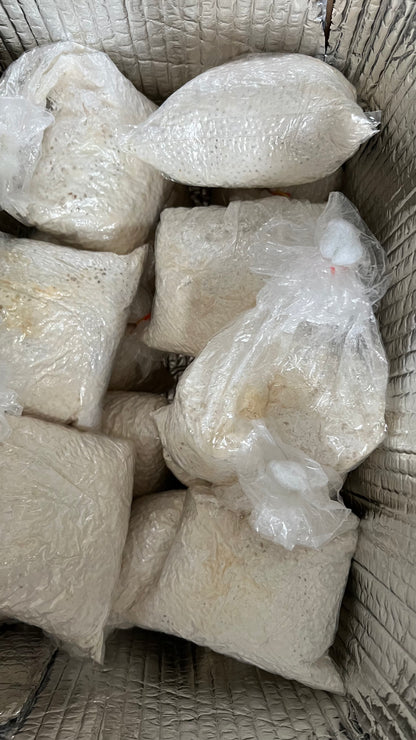 25 block Mushroom growing combo - Make 25 bags of 2.5KG each - growthefunguy