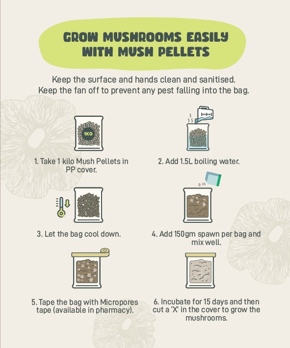 Mushroom grow pellet - mushpellets